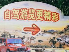 -广州长隆野生动物世界