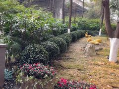 -大妙火锅·非物质文化遗产(东湖公园店)