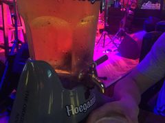 -猫头婴小酒馆FUN OWL(1912店)