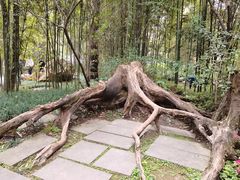 -成都杜甫草堂博物馆