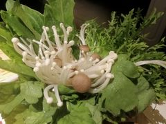 -汤城·料青山