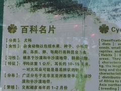 -灵玲国际马戏城