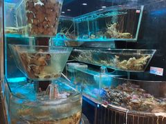 水产区-真味鲜厨(观塘店)