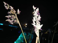 -千岛湖-欢乐水世界