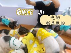 -猪盟咖啡店(玖洲道店)