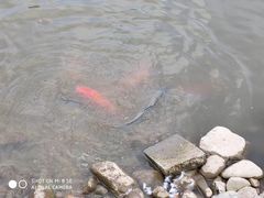 -河北村民俗体验园