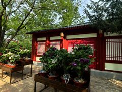 -太阳宫公园