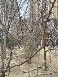 -天津市儿童医院(河西马场院区)