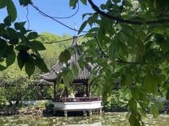 -上海醉白池公园