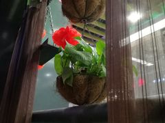 -赣菜香江西小炒(江泰国际广场店)