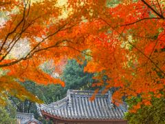 -汇龙潭