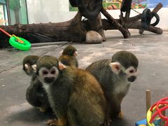 -西安秦岭野生动物园