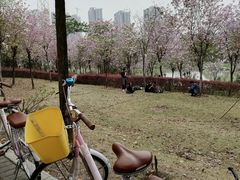 -广东花都湖国家湿地公园