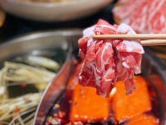 -渝味晓宇火锅(合川路店)