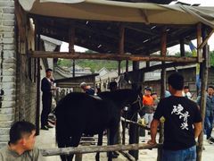 -清风小镇闯关东影视基地