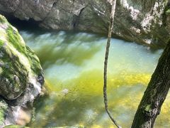 -牛背梁国家森林公园