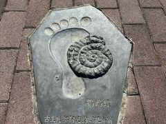 -鹦鹉洲湿地公园