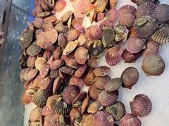 -圣罗巴海鲜烤肉自助(佳兆业店)