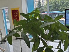 -德元·美联众合24小时动物医院(总院)