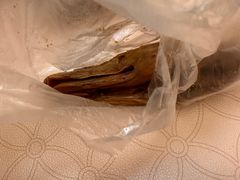 -晶牌烤鸭(延吉东路557弄小区店)