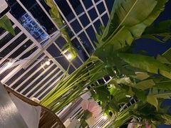 -天空花园餐吧·生日·团建(南山店)