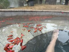 -咸宁万豪温泉谷度假区