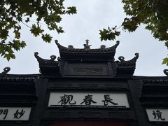 -武汉长春观