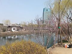 -无锡蠡湖国家湿地公园-蠡园