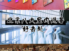-国家大剧院
