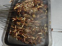 -宋文成烤肉(白沙巷店)