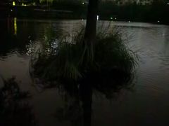 -重庆彩云湖湿地公园