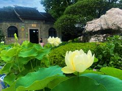 -无锡蠡湖国家湿地公园-蠡园