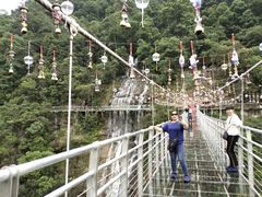 -九龙江国家森林公园