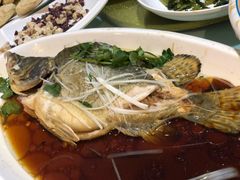 清蒸鳜鱼-苏苑饭店-中餐厅(长桥地区店)
