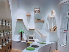 -COLOR PETS 撸猫馆·购猫·猫咖(长风大悦城店)
