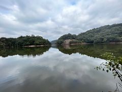 -广州市石门国家森林公园