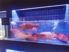 -徐记海鲜(汉城湖|太奥店)