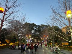 -东西巷