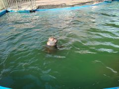 -北戴河圣蓝海洋公园