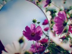 -丽江泸沽湖景区