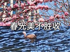 -马栏河运动公园
