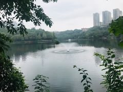 -重庆彩云湖湿地公园