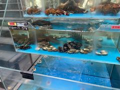 -旺顺阁鱼头泡饼(小红门店)