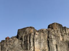 -海南热带野生动植物园