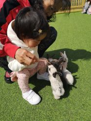 -萌宠亲子动物乐园(槐房万达店)