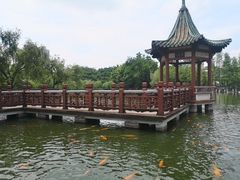 -东莞市可园博物馆