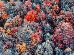 -罗红摄影艺术馆