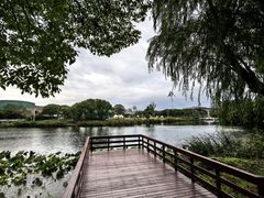 -新江湾城公园