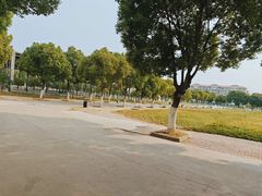 -合肥火车站(地铁站)