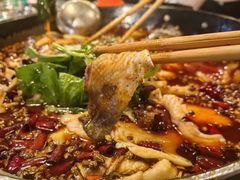 -仔耳朵冷锅鱼蛙芋儿鸡(莲花东路店)